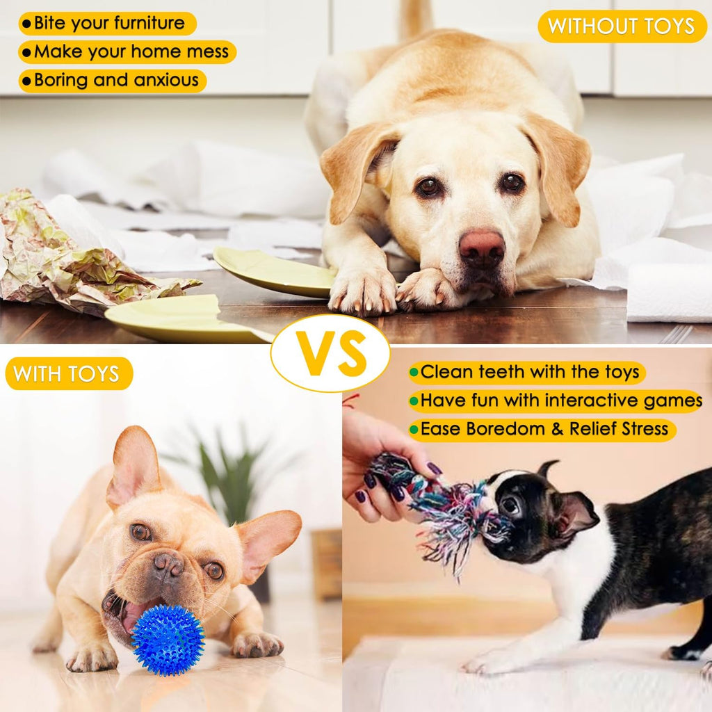Dog Toys 25 Pack for Fun and Teeth Cleaning, Puppy Chew Toys Pack with Squeak Plush Toy,Squeaky Toy Balls,Tug of War and Rope Toys for Puppy to Small Dogs