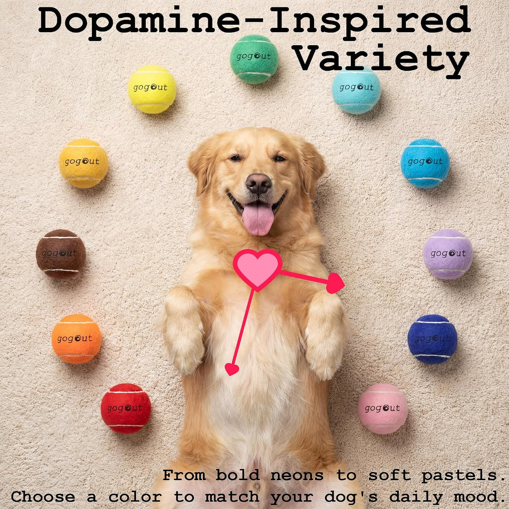 Squeaky Fetch Balls for Dogs, Rainbow Dog Ball Box, Multicolor Tennis Balls for Dogs, 12 Count Gift-Ready Set, 2.5 Inch Large