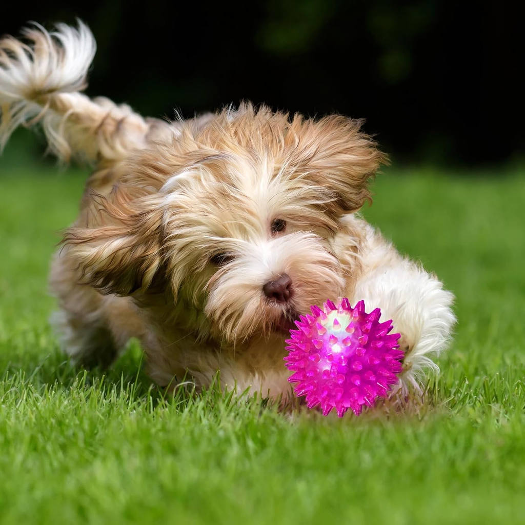 Dog playing with a pink ball on grass