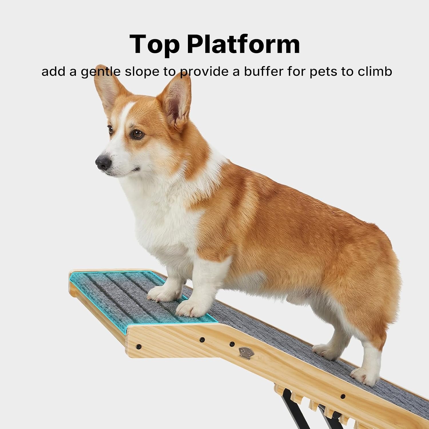 Folding Dog Ramp for Bed Couch for Small Dogs Height 20" to 31" | 65" Long Portable Pet Ramp for Bed Car 5 Adjustable Height Doggie Dachshund Senior Dog Ramps with Steel Bracket, up to 220Lbs