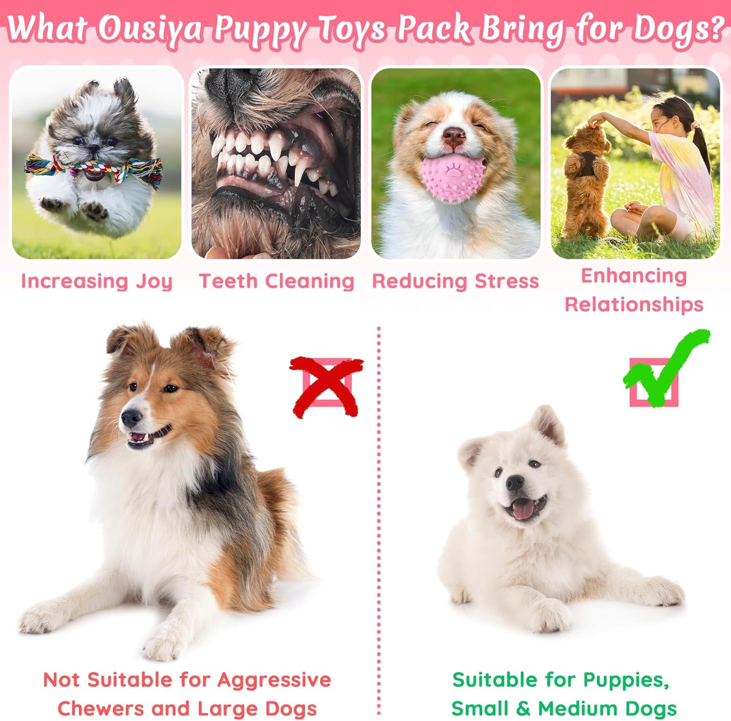 12 Pack Puppy Toys for Teething, Small & Medium Dogs – Chew Toys, Rope Toys & Interactive Dog Toys Set with Storage Box for Training, Play & Boredom Relief