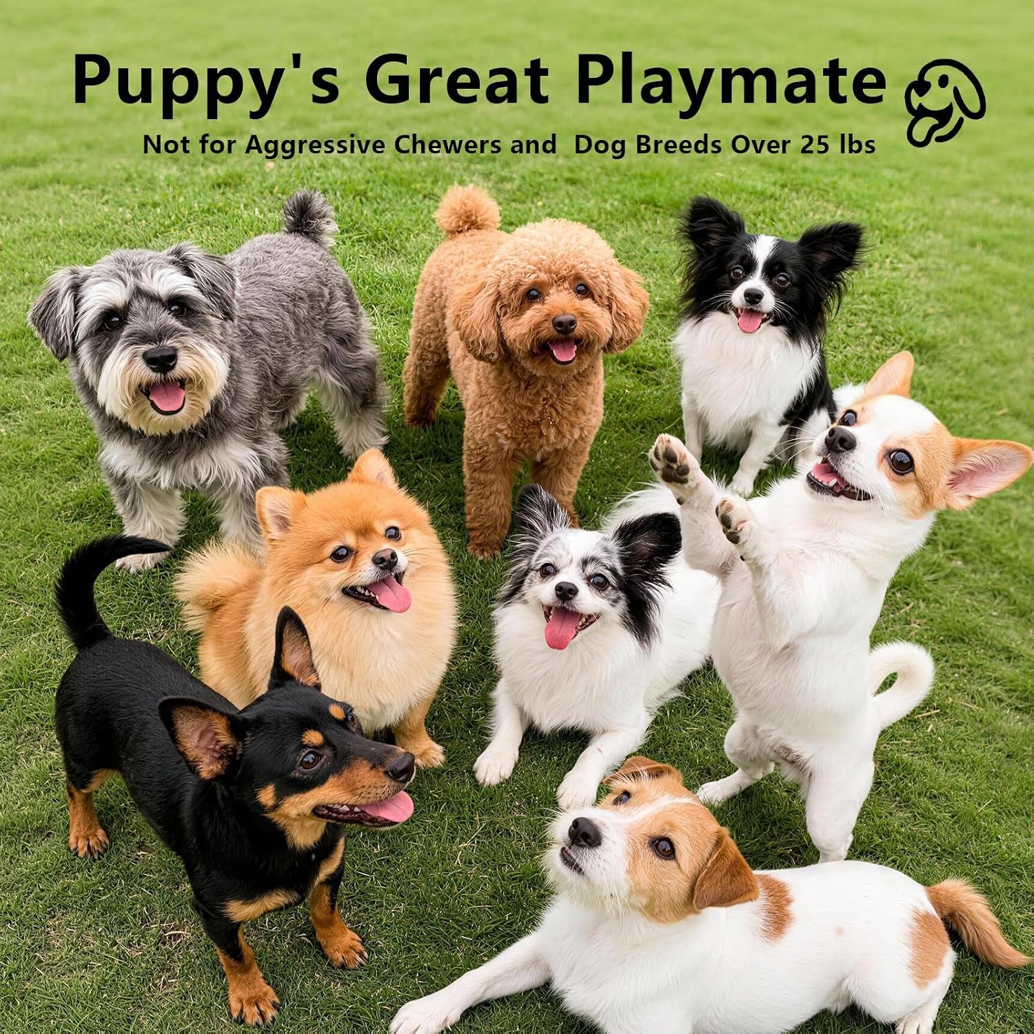 Interactive Dog Toys Ball, 3 Modes & Powerful Motor, Random Movement & Swinging Rope, Bird Chirping Stimulate, USB C Rechargeable for Small Medium Dogs for Boredom, Anxiety Relief