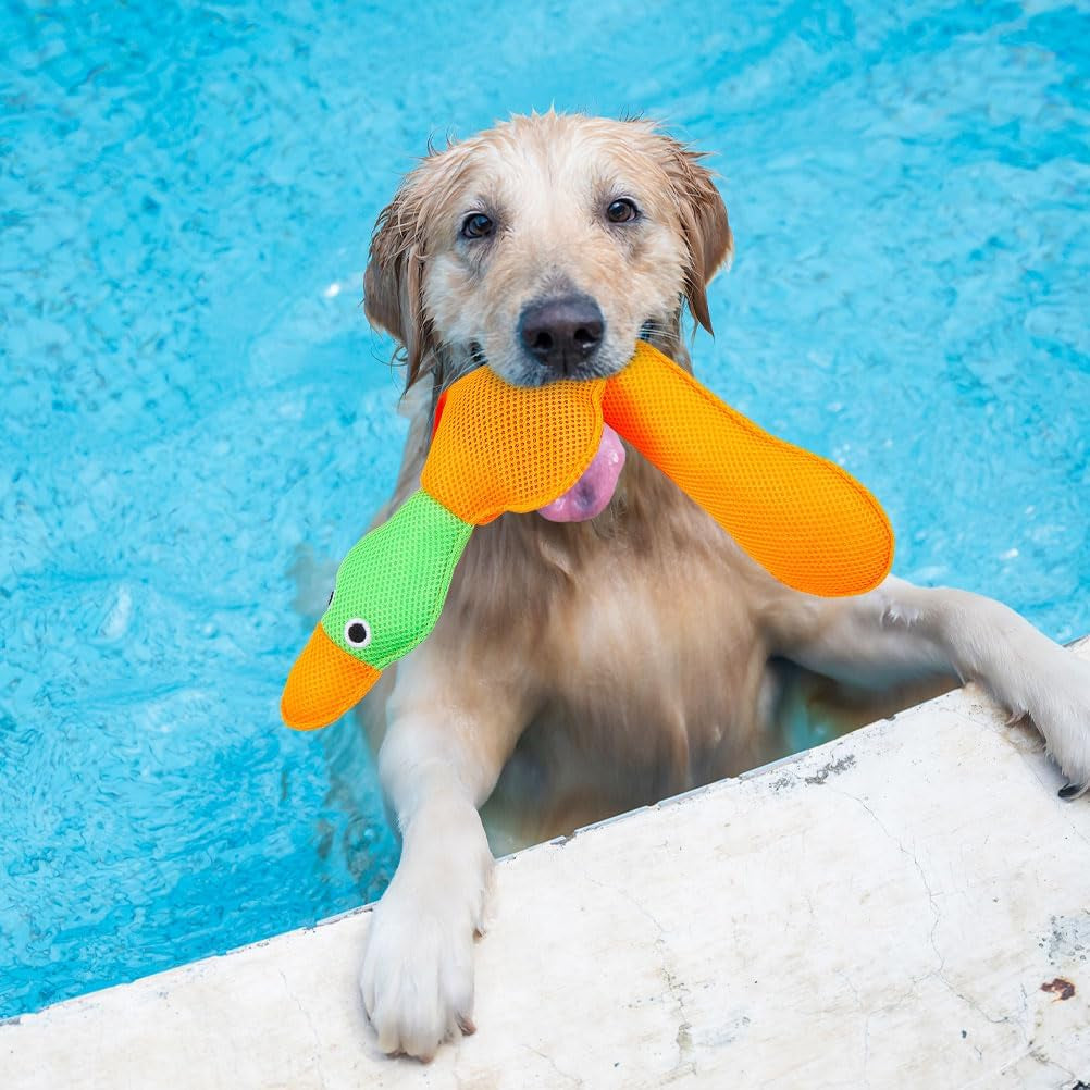 Floating Dog Water Pool Toys - 2 Pack Stuffed Duck Dog Toys Long, Pet Summer Essentials for Fetch & Training, Built-In Squeaky Ball Loud Sound for Small Medium Large Breeds, 20.5 Inch