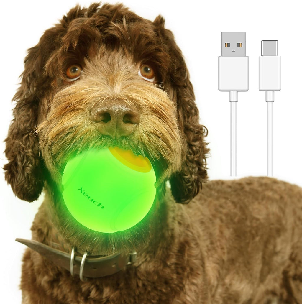 Light up Dog Balls, LED Dog Toy Ball Rechargeable, Bounce-Activated Durable Fetch Ball Grow in the Dark, Night Glowing Toy, Natural Rubber, Color Changing LED, 2.5 Inches-Orange