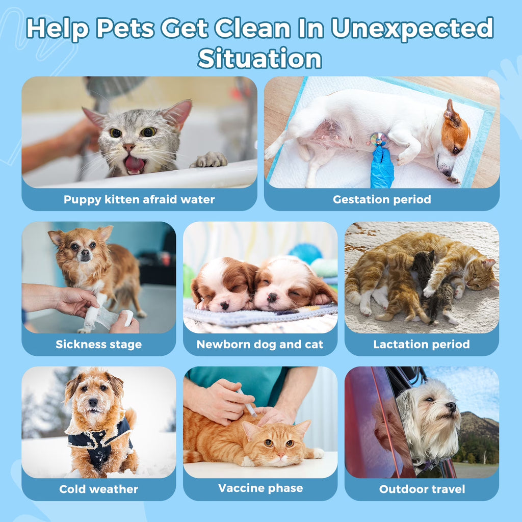 Pet Glove Wipes for Dogs & Cats, Extra Thick Rinse Free Dog Wipes, Unscented, 5 Pack, 30 PCS