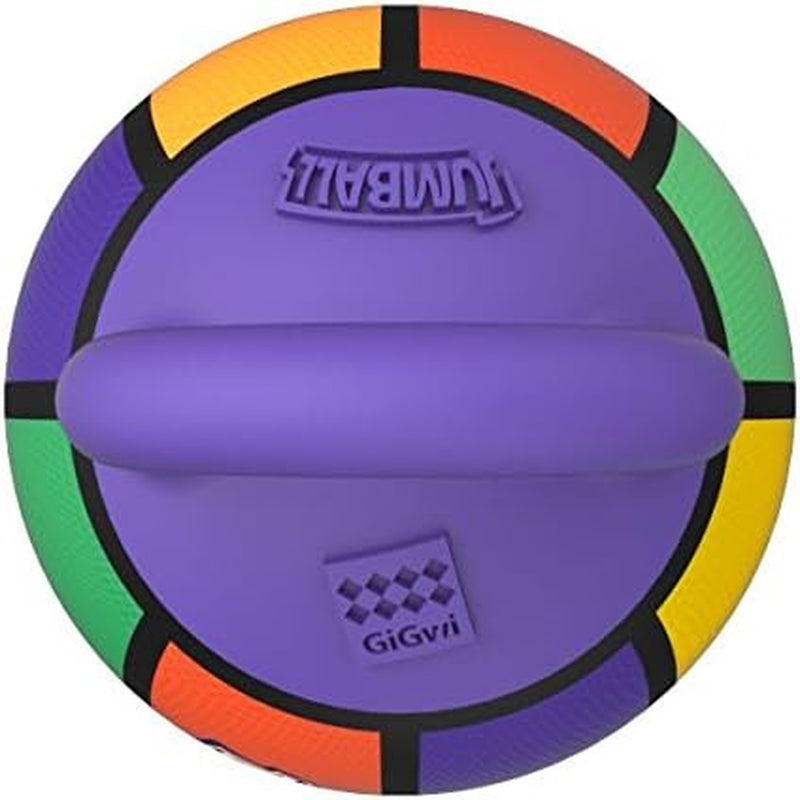 Jumball Rubber Basketball Dog Toy with Handle High Visability Throw Fetch Toy Dog Ball - Multicoloured