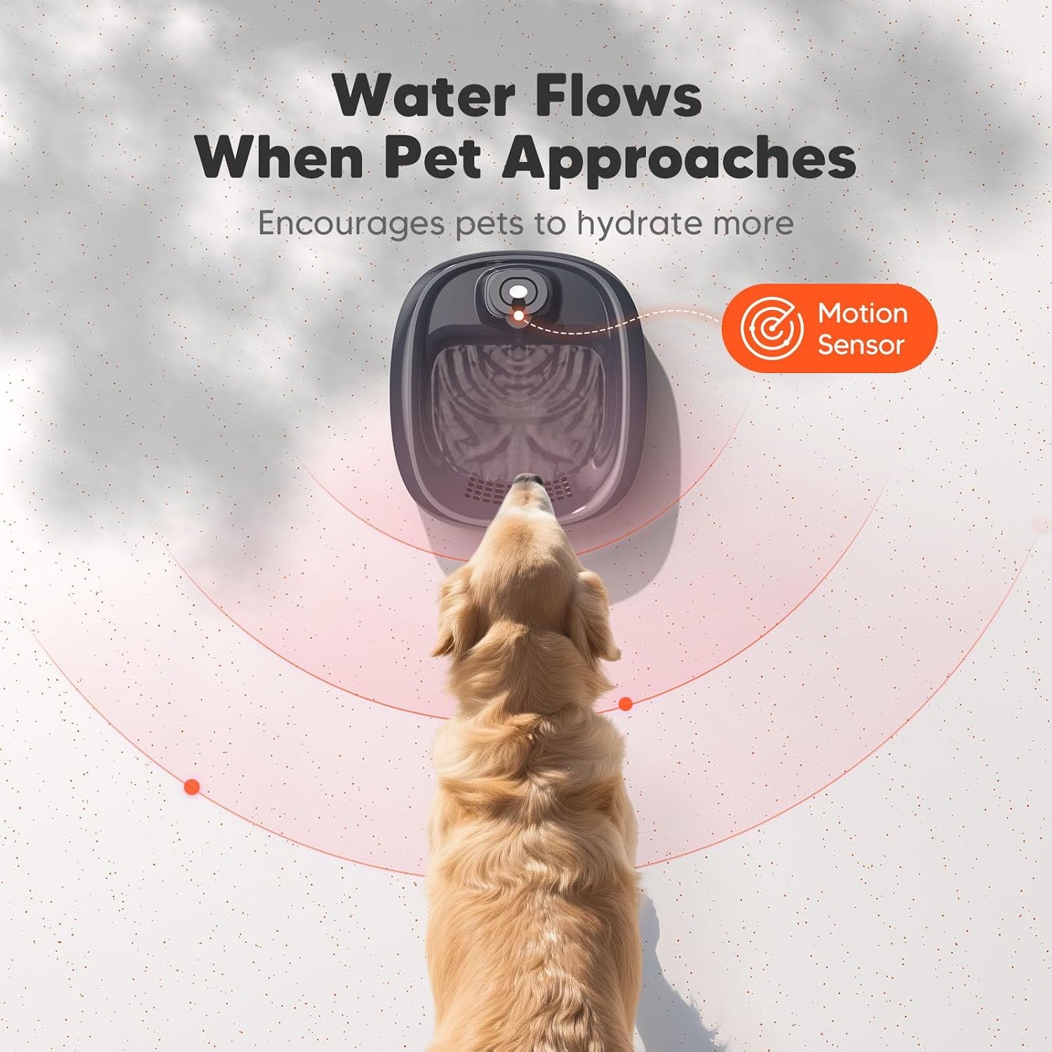 Wireless Dog Water Fountain for Large Dogs, 6L/205Oz Dog Water Bowl Dispenser with 5000Mah Battery Operated, W600 Pro Cordless Pet Fountain for Dogs&Cats with Motion Sensor, Ultra Quiet Pump