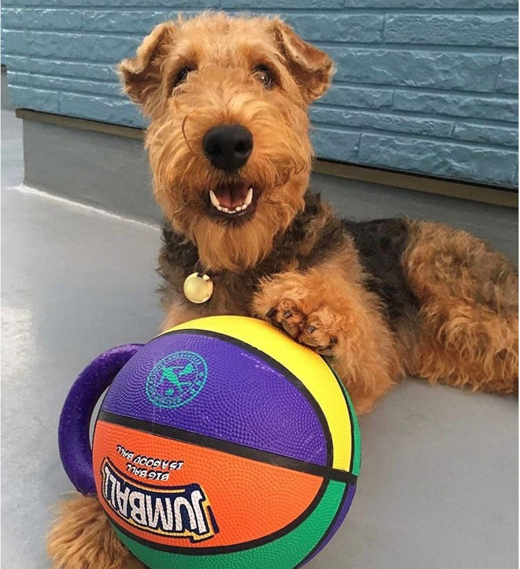 Jumball Rubber Basketball Dog Toy with Handle High Visability Throw Fetch Toy Dog Ball - Multicoloured