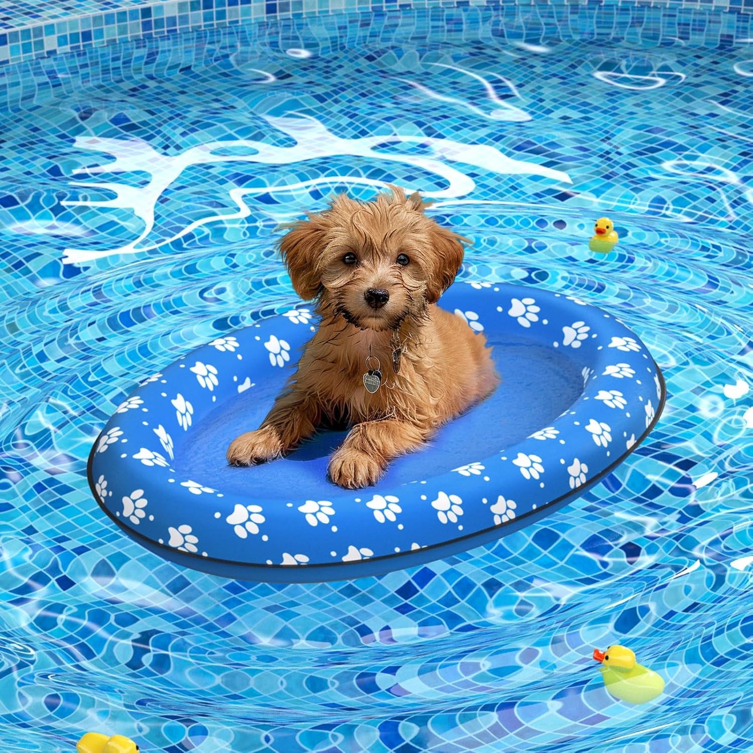 Dog Float Raft - Inflatable Dog Swimming Float for Summer (Small, Yellow Bones)