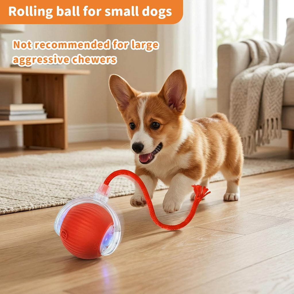 Interactive Cat Toys for Indoor Cats Smart Automatic Ball Rolling for Bored Kitten Pet Upgraded Speedy Moving Chase Dogs Toy Mothers Day Gifts Red