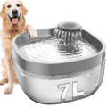 A golden retriever sits beside a large 7L automatic pet water fountain with a gray rim, clear water basin, and a gray water dispenser spraying water into the air, on a white background.