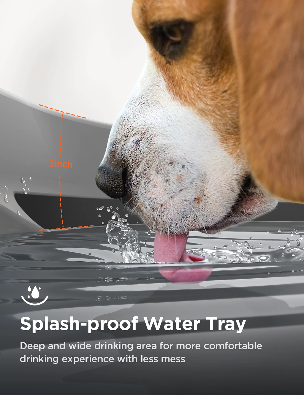 Close-up of a dog drinking from a dark gray splash-proof water tray, with text highlighting the deep, wide drinking area and splash protection.