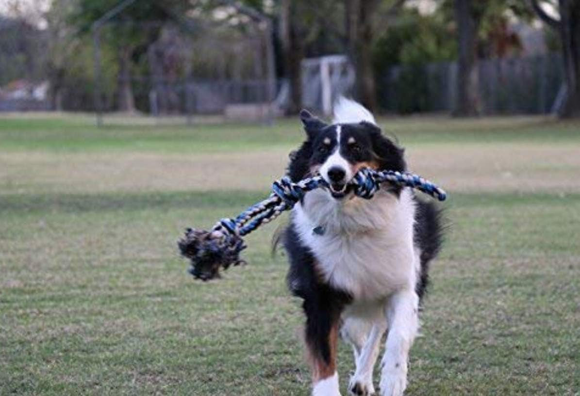 Large Dog Rope Toy for Large Dogs - 23.5" Dog Tug of War Toy - Durable Big Pull Rope for Aggressive Chewers & Teething Puppies