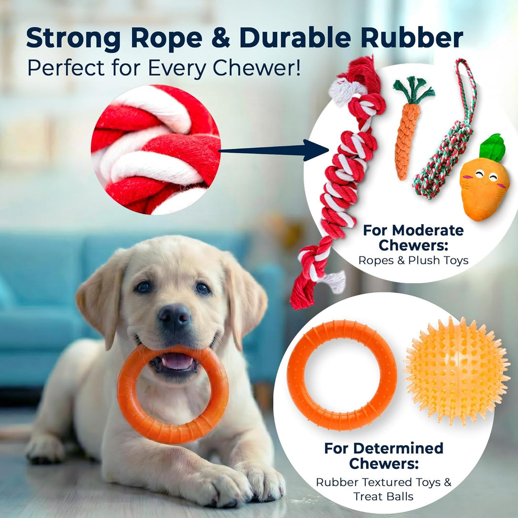 9-Pack Dog Toys for Small & Medium Dogs – Puppy Toys Set with Rope Toys, Chew Toys, Tug Toys, Plush & Squeaky Toys – Dog Toy Variety Pack