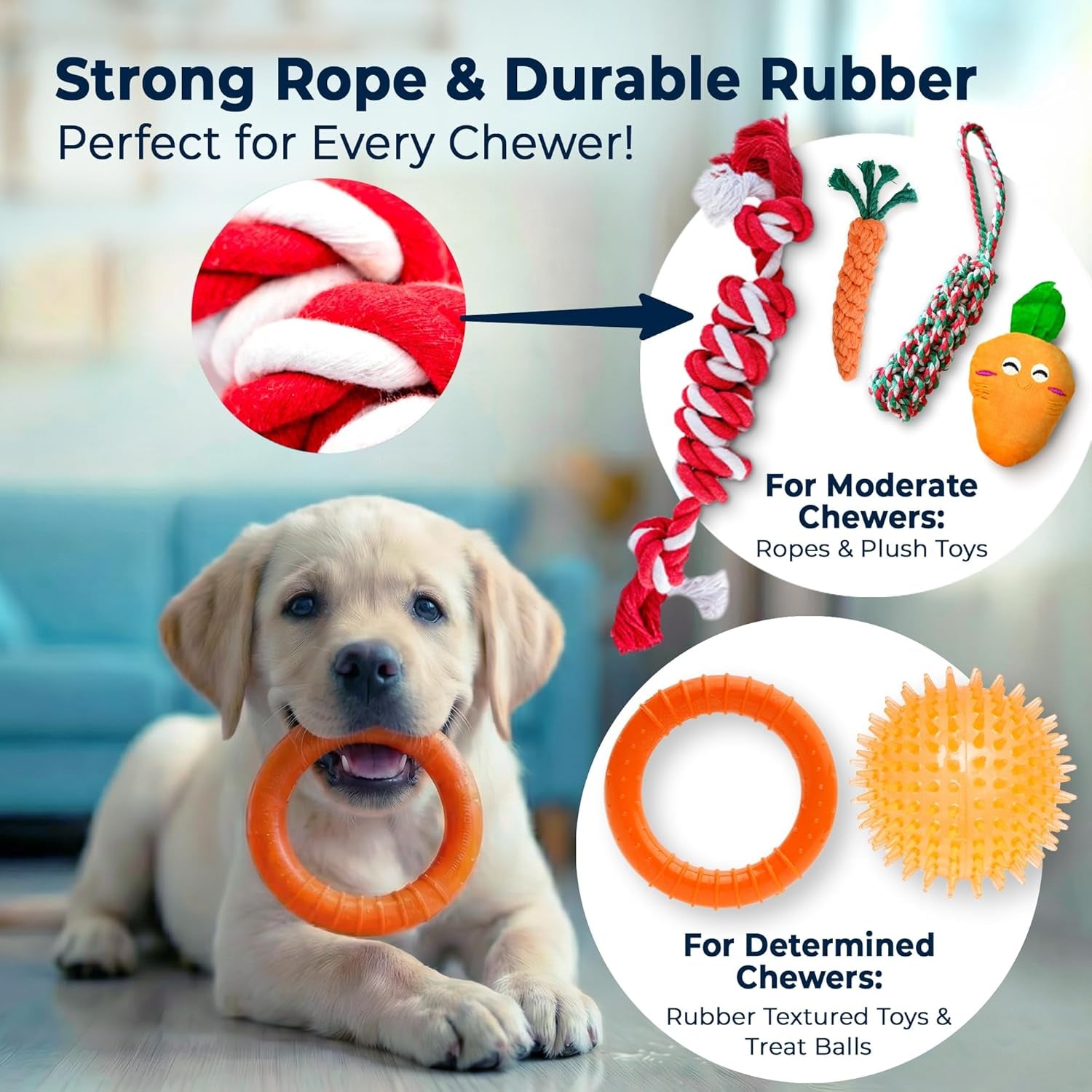 9-Pack Dog Toys for Small & Medium Dogs – Puppy Toys Set with Rope Toys, Chew Toys, Tug Toys, Plush & Squeaky Toys – Dog Toy Variety Pack