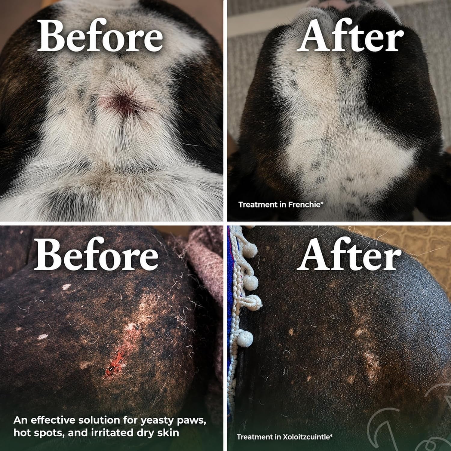 Dry Shampoo for Dogs – Antifungal Itchy Skin & Hot Spot Relief, Yeast Infection & Paw Licking Treatment, Dog Powder with Allergy Support & Odor Relief