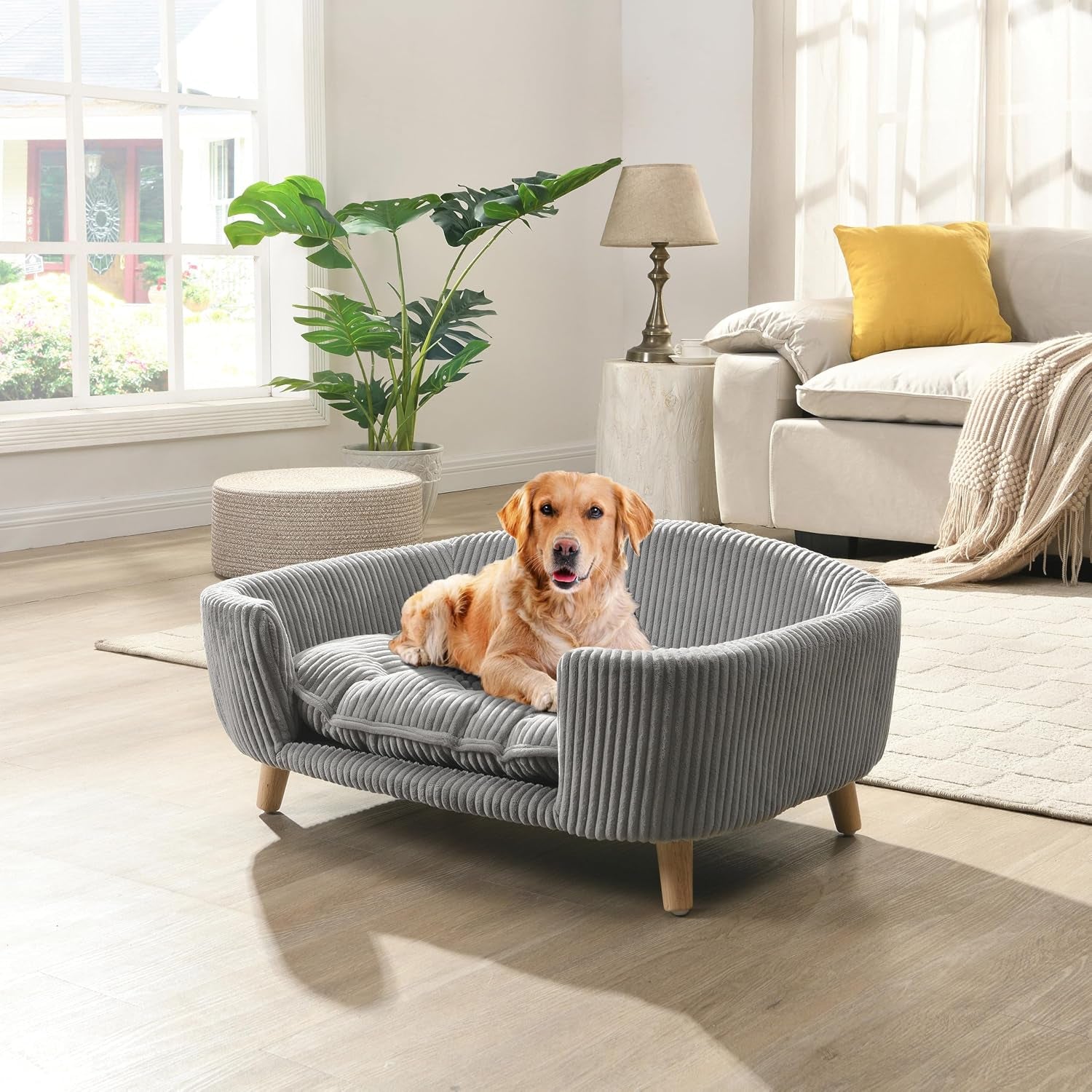 Elroy Orthopedic Dog Bed, Elevated Dog Sofa Bed for Small Dog, Supportive Foam Pet Couch Bed with Wooden Legs, Modern Pet Sofa Bed, Gray
