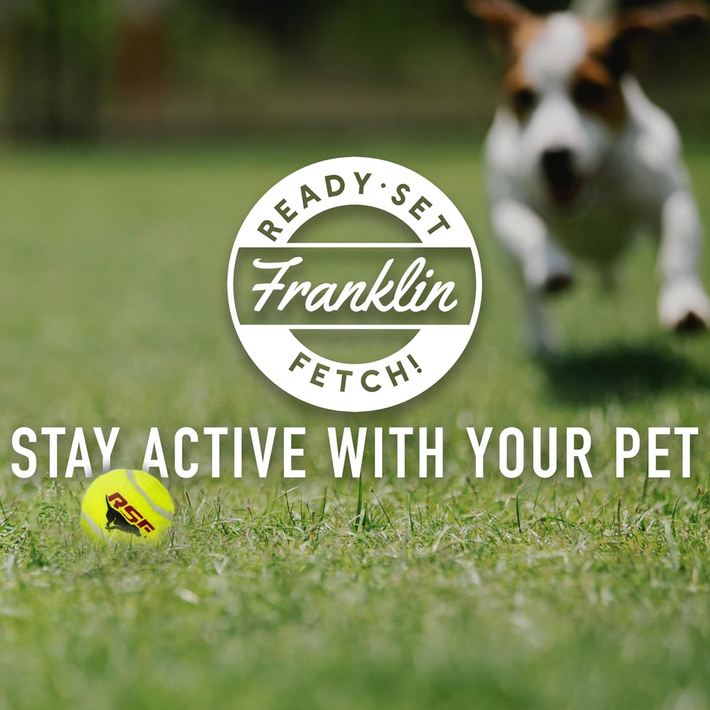 Franklin Pet Supply Co. Ready Set Fetch Mini Automatic Tennis Ball Launcher Dog Toy - Electronic Mini Tennis Ball Thrower for Fetch + Playtime - Launches up to 40 Feet - Interactive Dog Toy