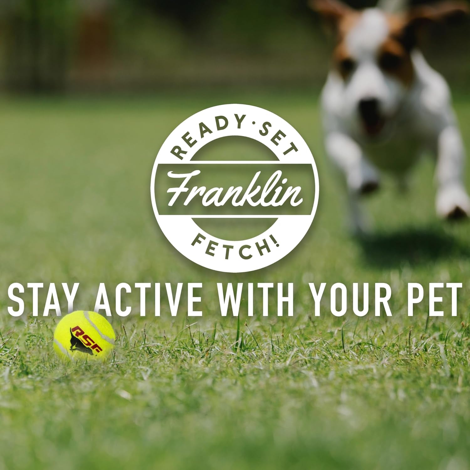Franklin Pet Supply Co. Ready Set Fetch Mini Automatic Tennis Ball Launcher Dog Toy - Electronic Mini Tennis Ball Thrower for Fetch + Playtime - Launches up to 40 Feet - Interactive Dog Toy