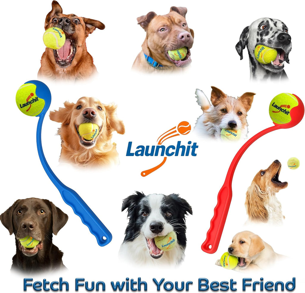 Dog Ball Launcher, Tennis Ball Thrower, Compact Design 13.8" Stick with Medium 2.5" Ball (Blue)