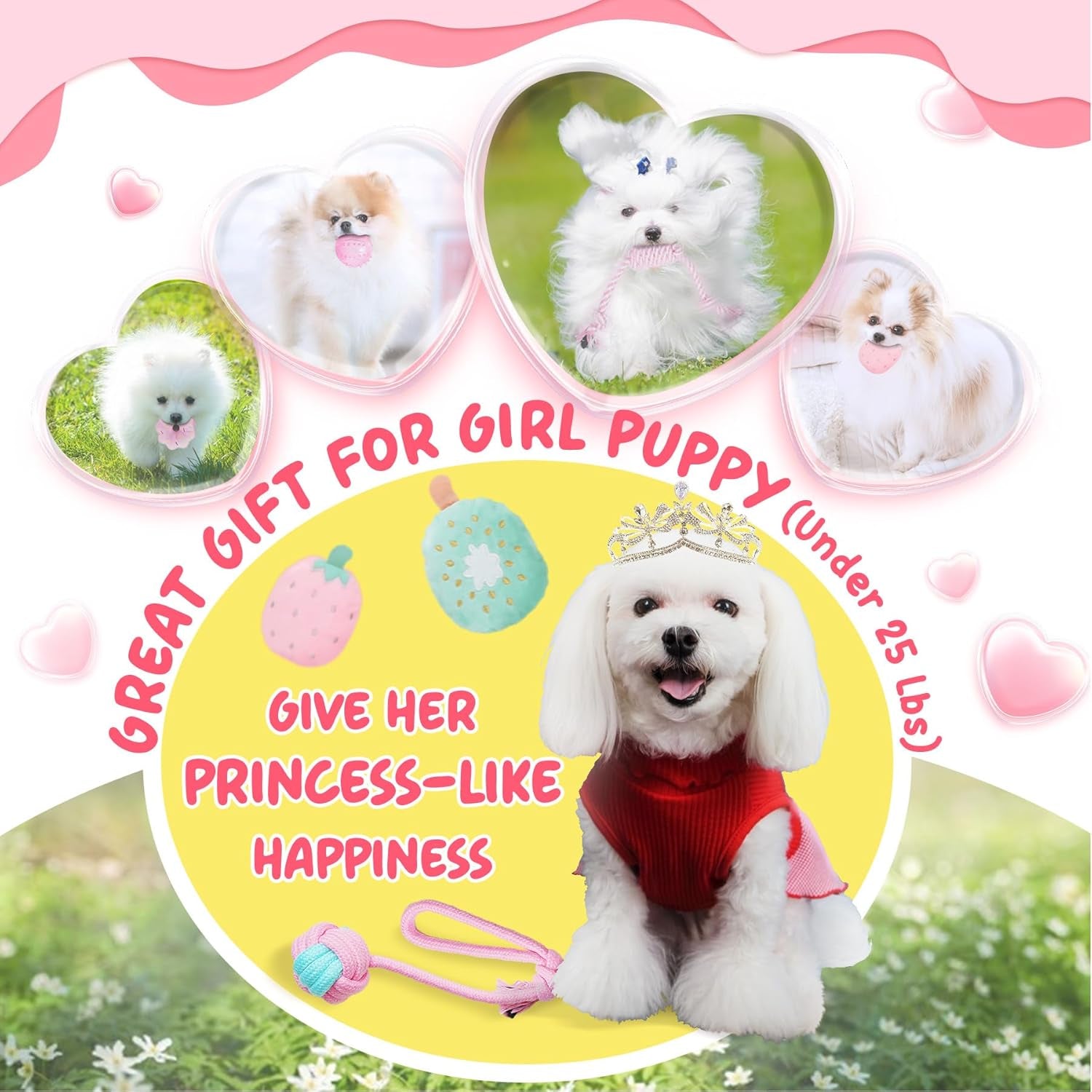 Pink Puppy Toys for Boredom - 23 Pack Puppy Chew Toys for Teething, Interactive Dog Toys for Puppies, Cute Small Dog Toys with Treat Ball, Squeaky Dog Chew Toys and Ropes