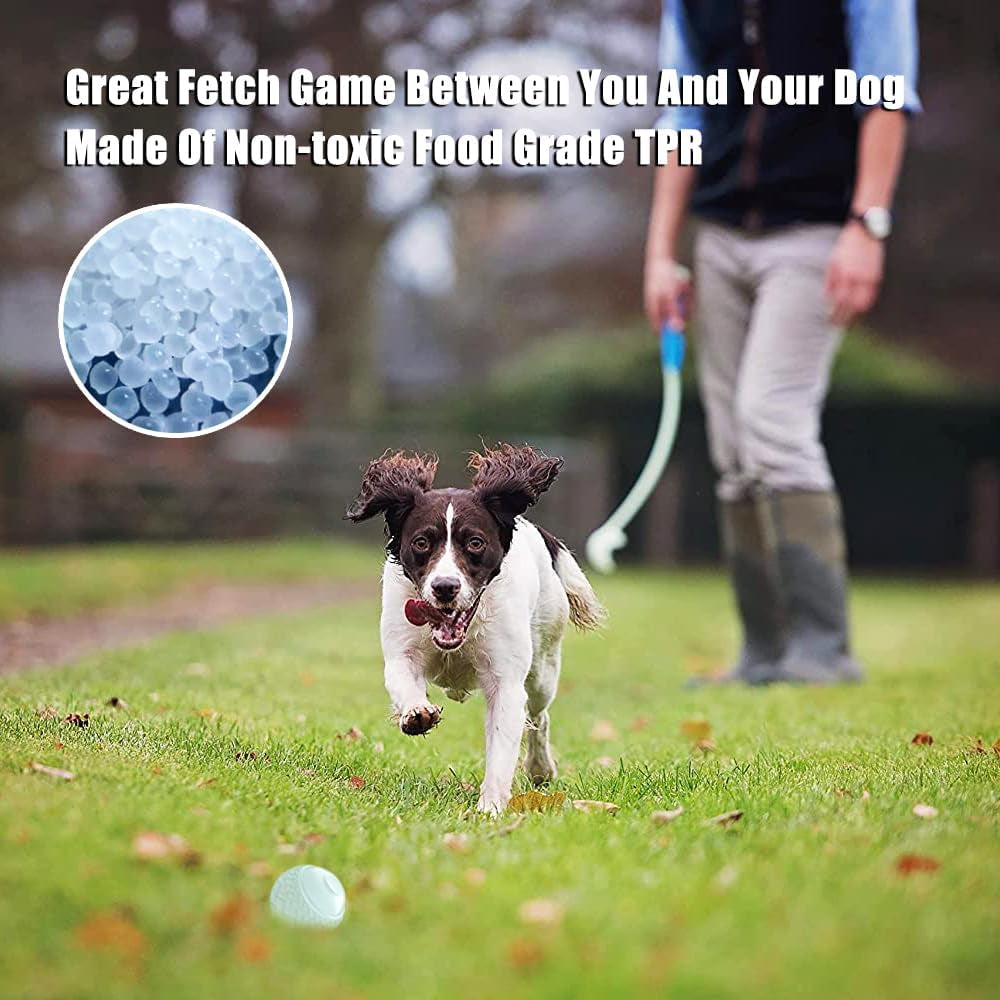 Dog Glow Ball Toy, Dog Toy Ball Glow in the Dark, 2 Pack