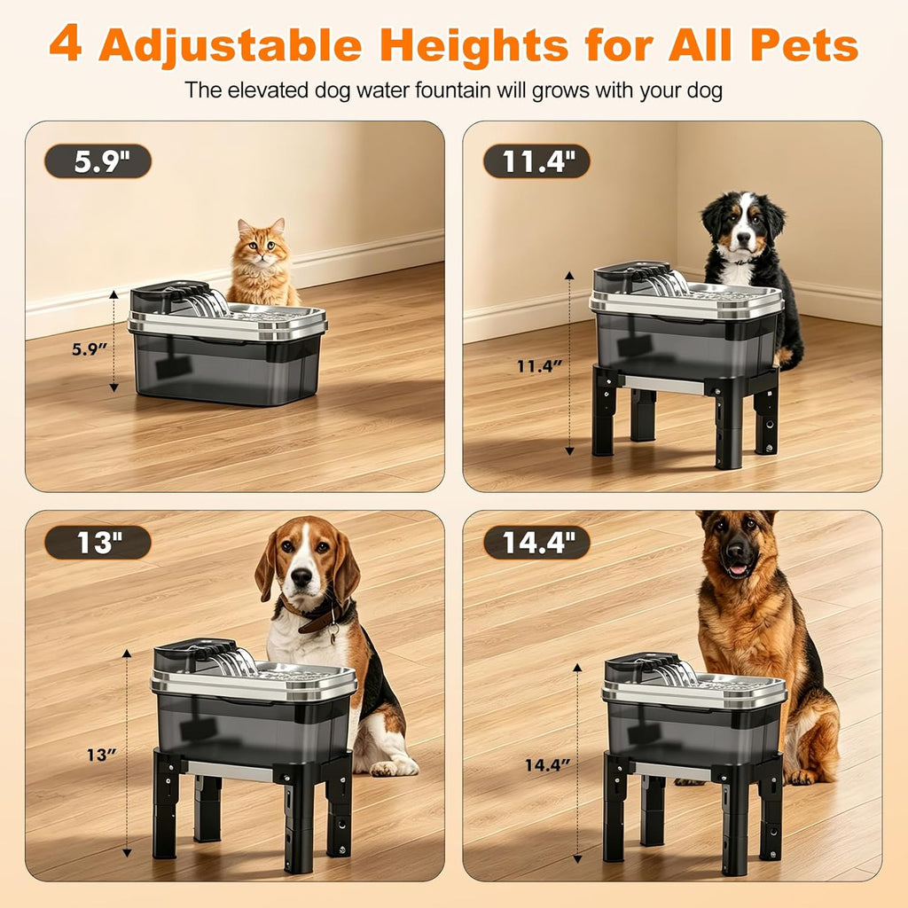 9L Elevated Stainless Steel Dog Water Fountain with Filter | 4-Level Adjustable Indoor Pet Water Fountain with Quiet Pump and No-Spill Design for Small, Medium, and Large Dogs