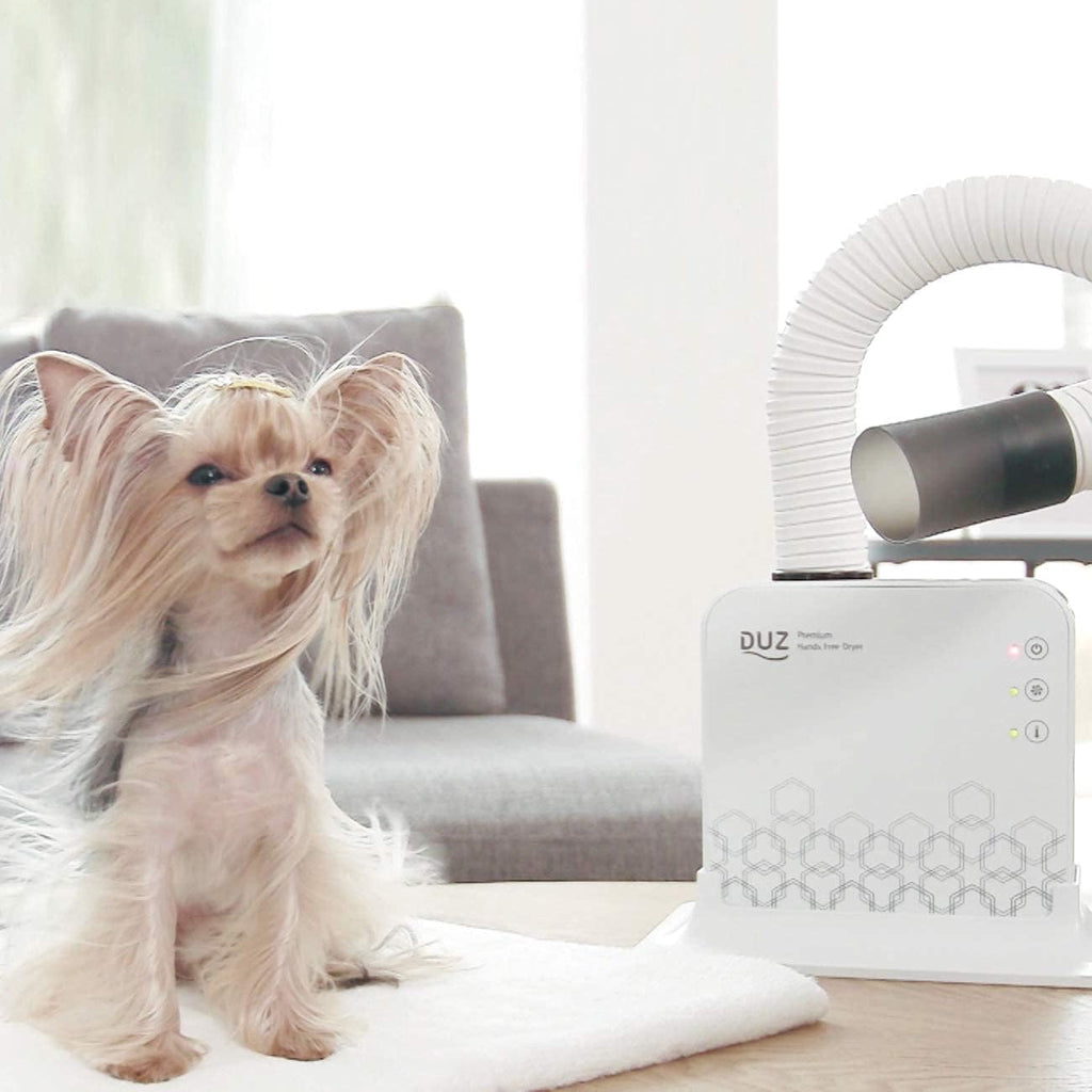 V2 Super Quiet Hands-Free Pet Dryer: Low-Noise Dog Dryer for Grooming, Reduces Labor & Stress, Ideal for Small Dogs and Cats, 1-Year Warranty