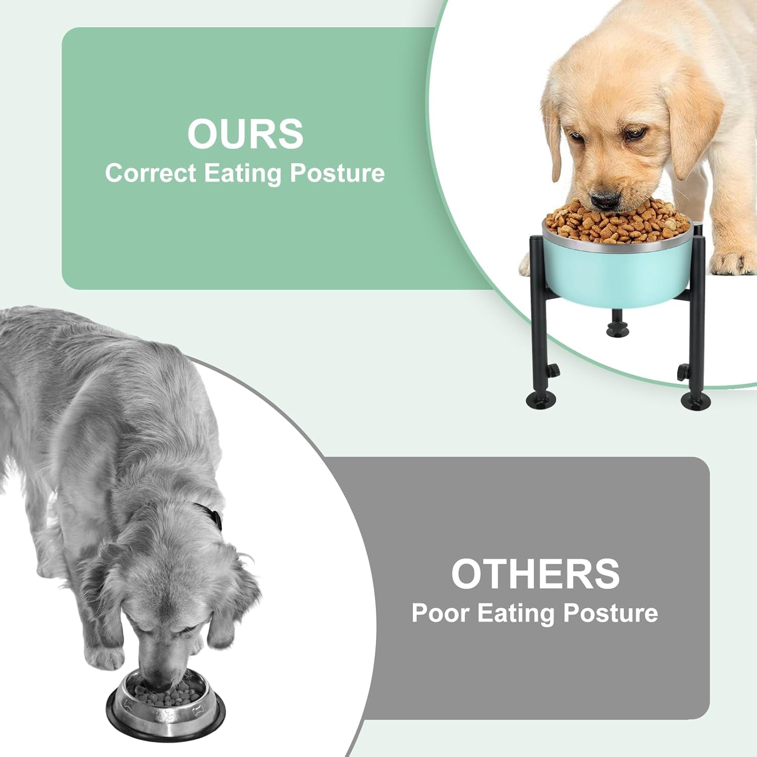 Elevated Dog Bowl Stand, Fits 6-10In Bowls Raised Dog Bowls Holder, 4 Height Adjustable Dog Food Water Feeder Pet Feeding Stand for Large Medium Small Breeds, Black