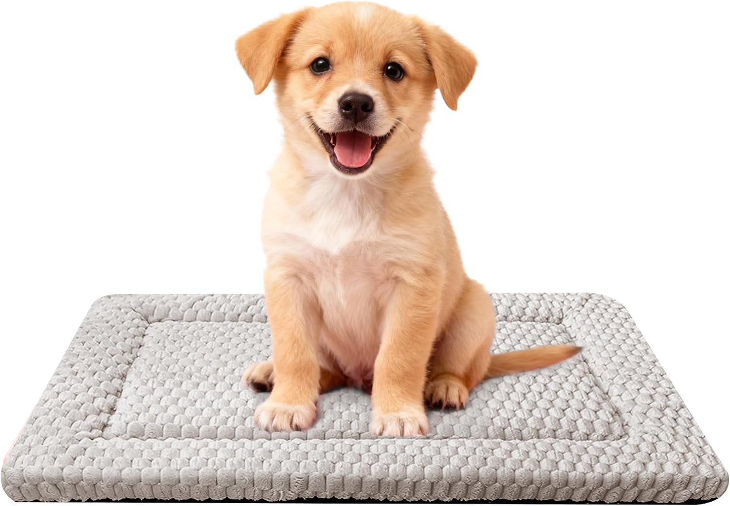 Dog Bed Mat, Reversible Dog Crate Pad for Small Medium Dogs & Cats, Soft Washable Kennel Mat with Non-Slip Bottom, Lightweight Pet Bed for Crate, Cage, Home and Travel(Gray Star, 24" L*18" W*1.5" Th)
