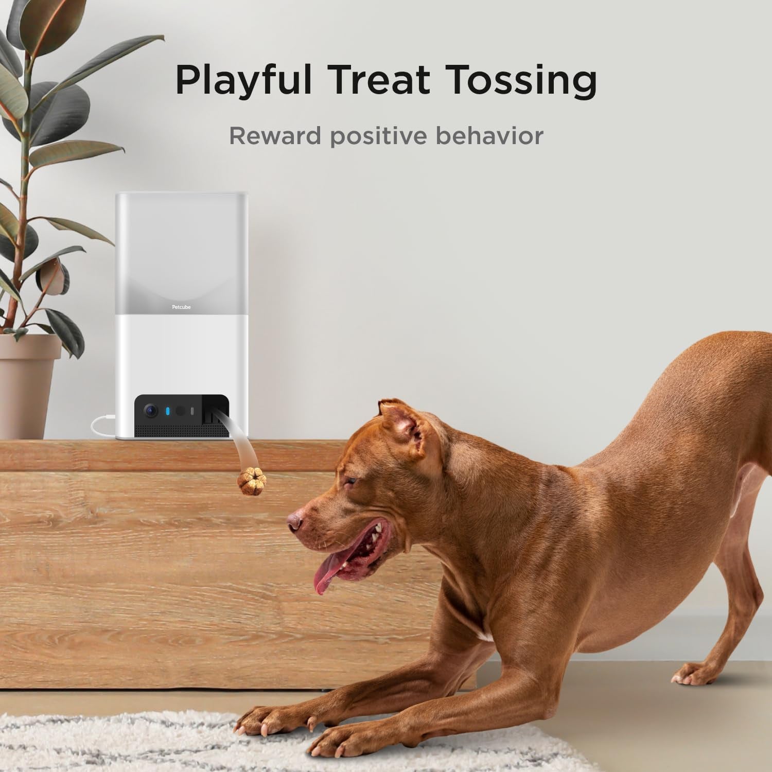 Bites 2 Lite Interactive Wifi Pet Monitoring Camera with Phone App and Treat Dispenser, 1080P HD Video, Night Vision, Two-Way Audio, Sound and Motion Alerts, Cat and Dog Monitor