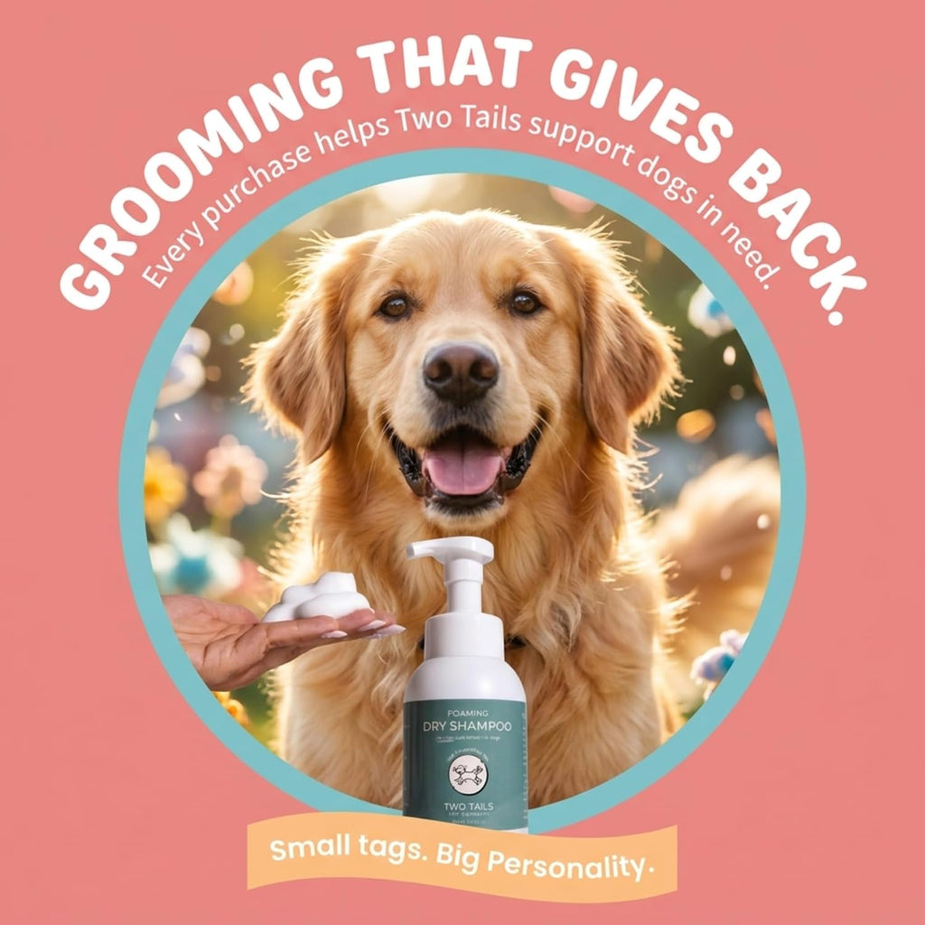 Two Tails Foaming Dry Dog Shampoo, Waterless No-Rinse, 10.55 FL OZ | Coat Refresher & Deodorizing Foam; Gentle for Sensitive Skin; No-Rinse Waterless Formula.