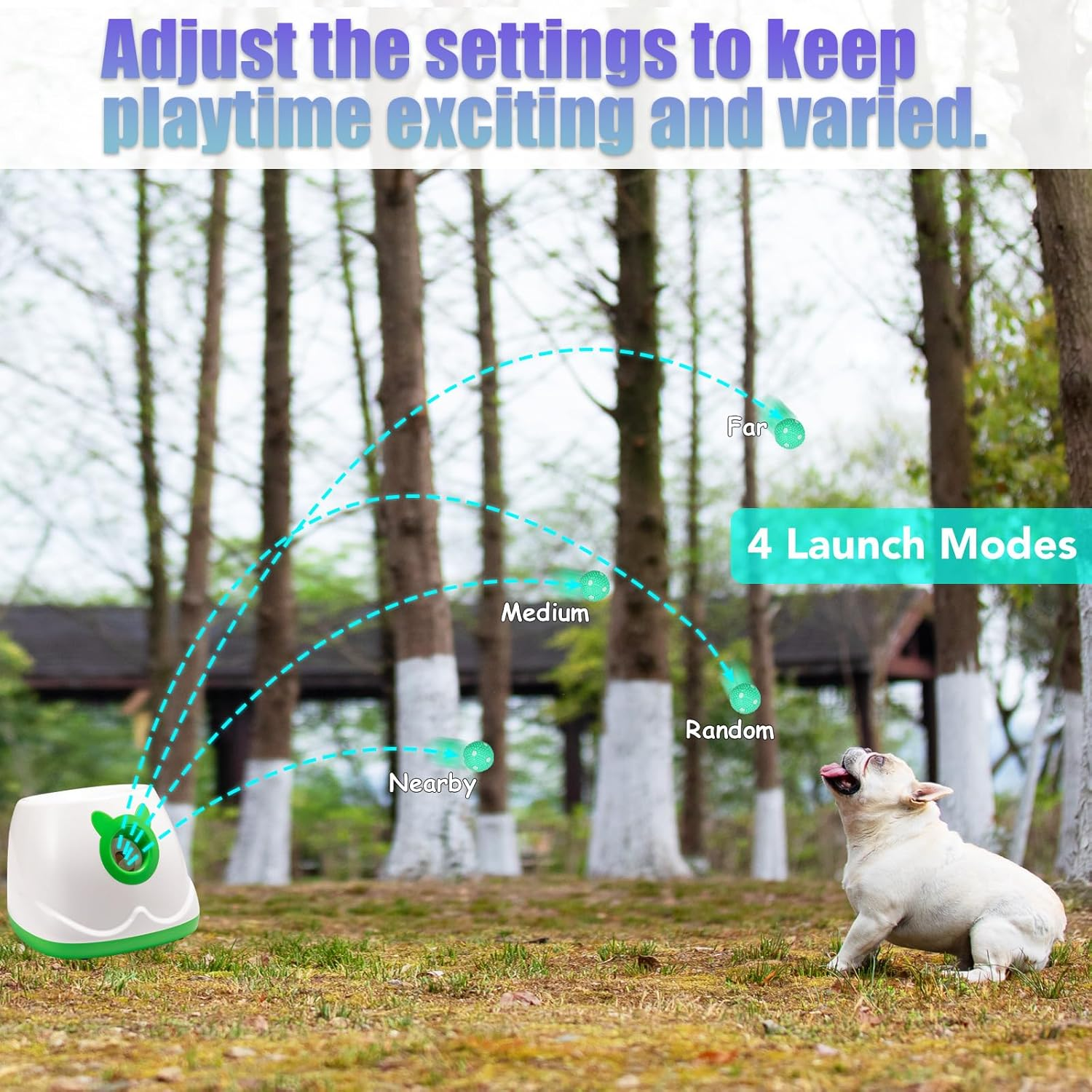 Dog toy with launch modes diagram in a park setting