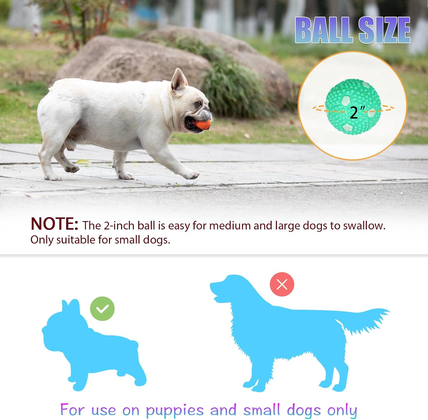 Small dog carrying a 2-inch ball, with a safety note that the ball size is intended only for puppies and small dogs.