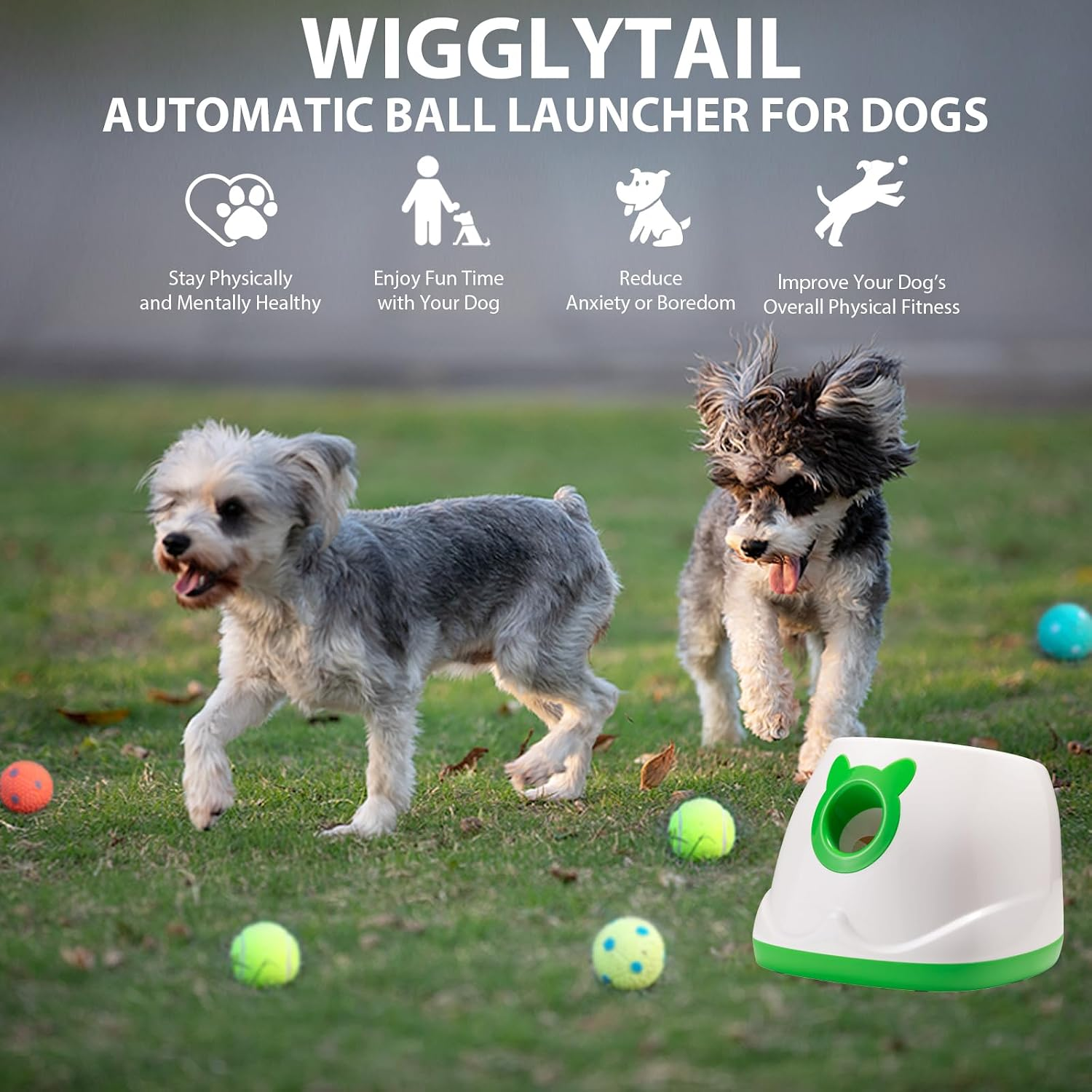 Wigglytail automatic ball launcher for dogs with two dogs playing in a grassy area.