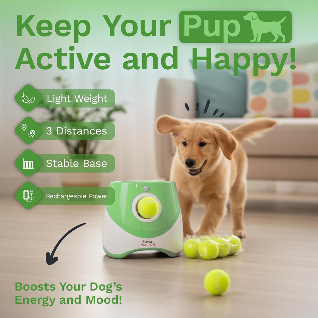 Small dog playing indoors with the Good Pup RallyTen automatic ball launcher, highlighting three distances, rechargeable power, lightweight design, and stable base.
