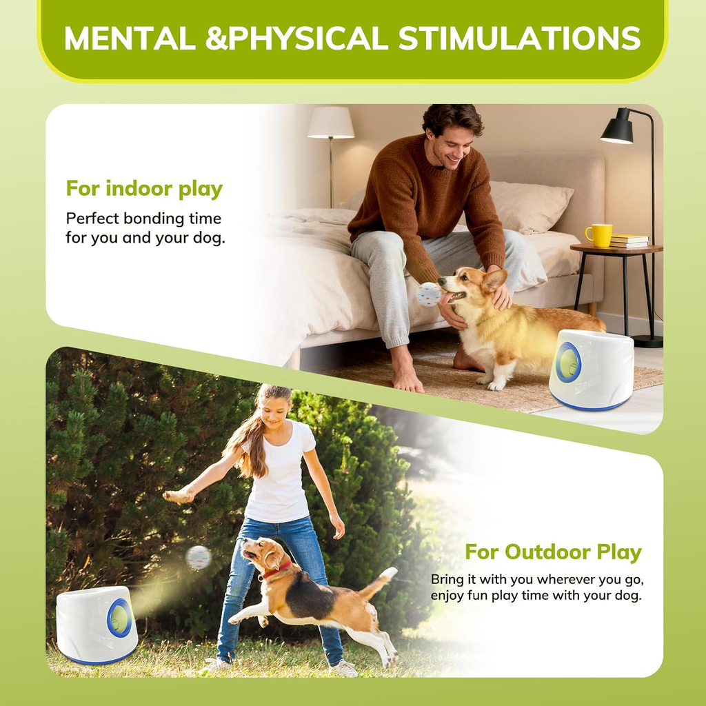 Promotional image of a product for mental and physical stimulations with text and images of a person and dog indoors and outdoors.