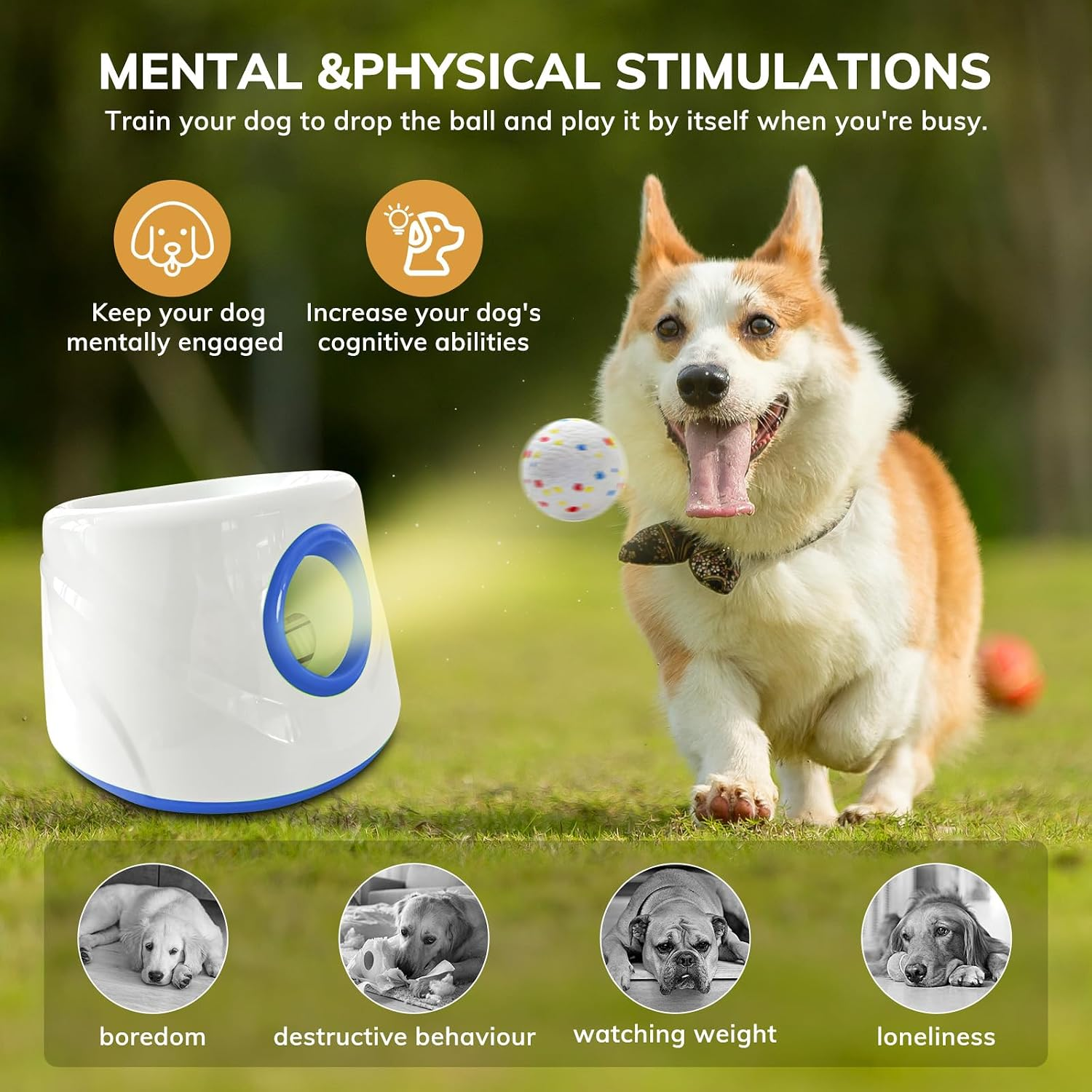 Dog playing with a toy on grass, promoting mental and physical stimulation for dogs.