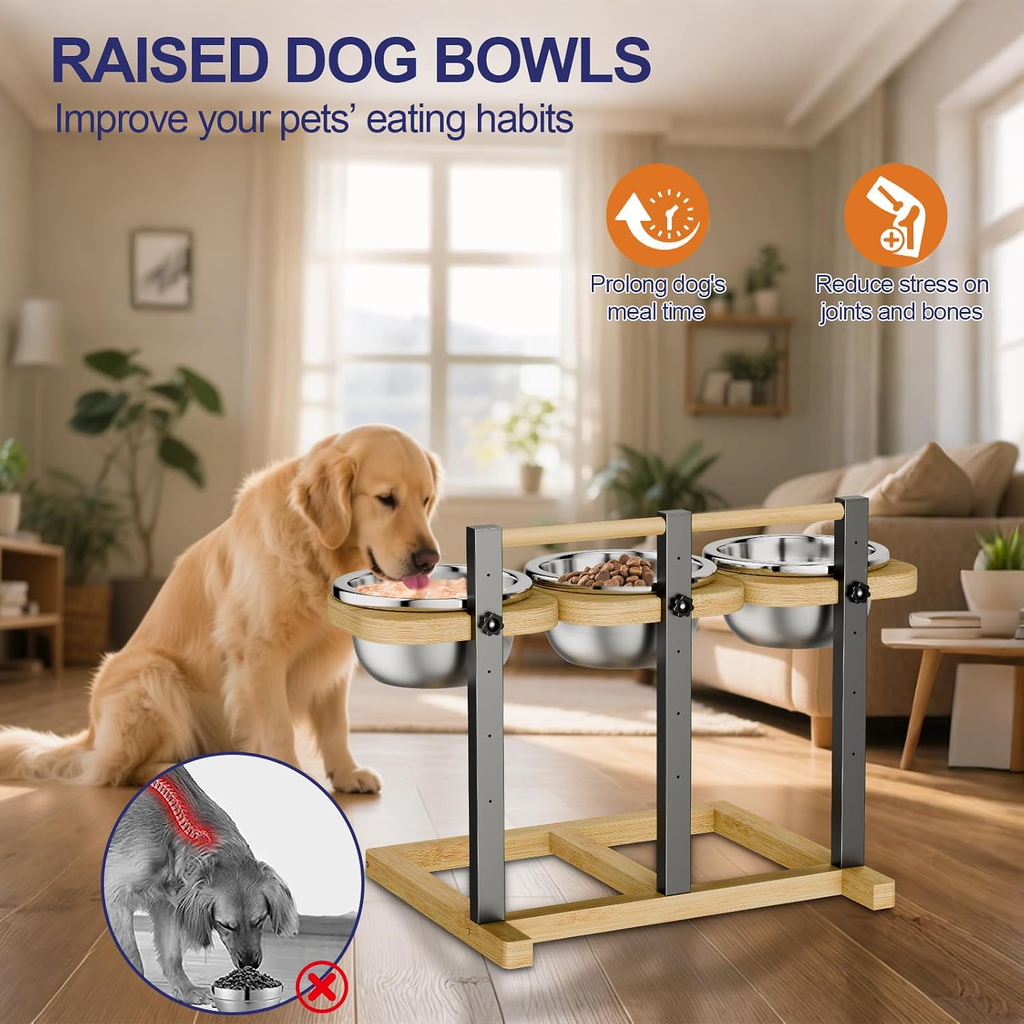 Raised dog bowls with a dog sitting next to them in a living room setting.