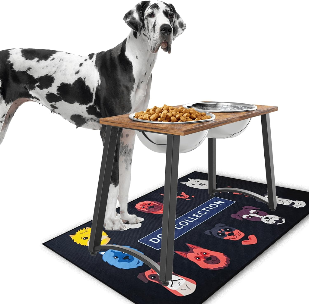Dog standing next to a raised pet feeding station with a bowl of food on a white background