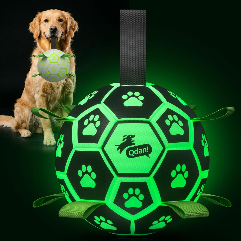 Dog playing with a green and black ball with paw prints and a visible brand logo.