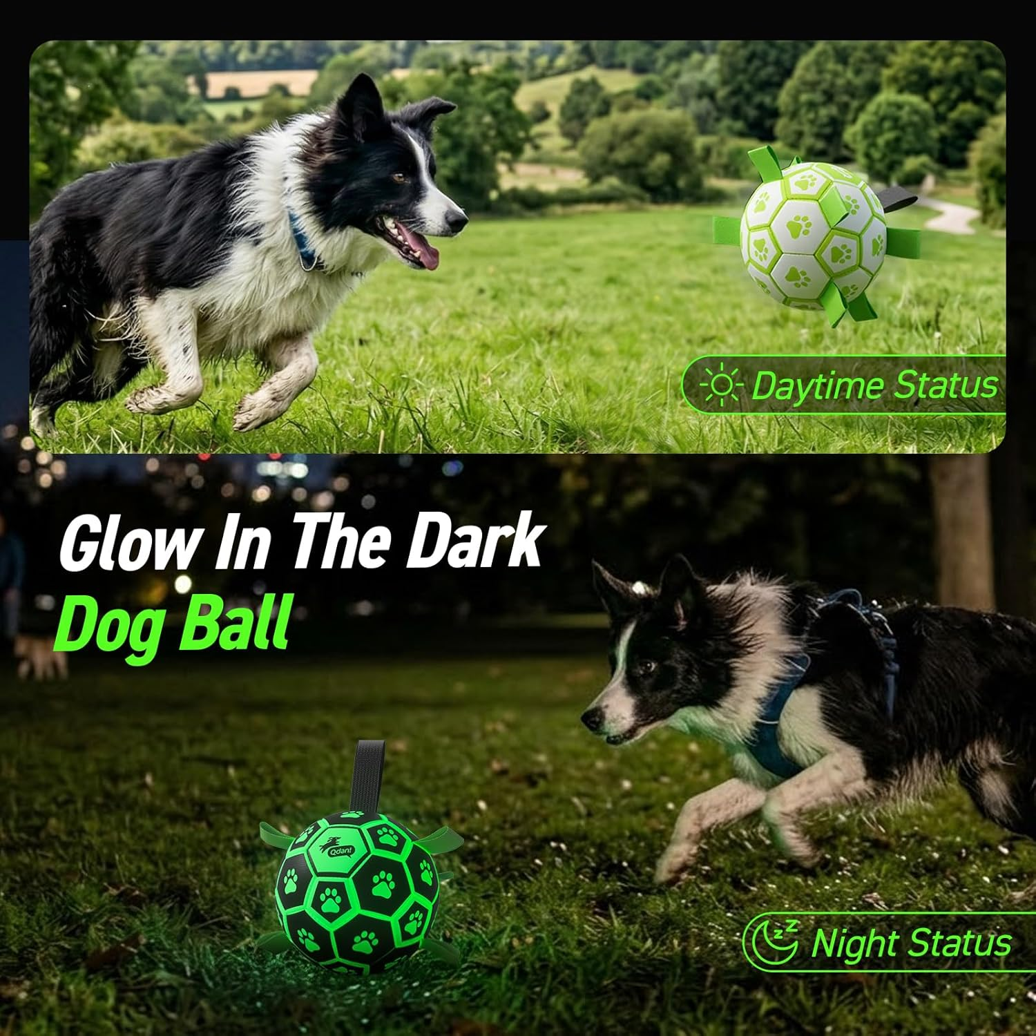 Dog playing with a glow-in-the-dark ball during day and night.