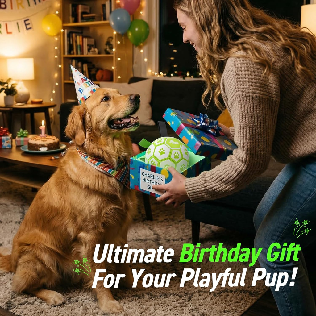 Dog wearing a party hat with a person holding a gift, surrounded by birthday decorations in a cozy living room.