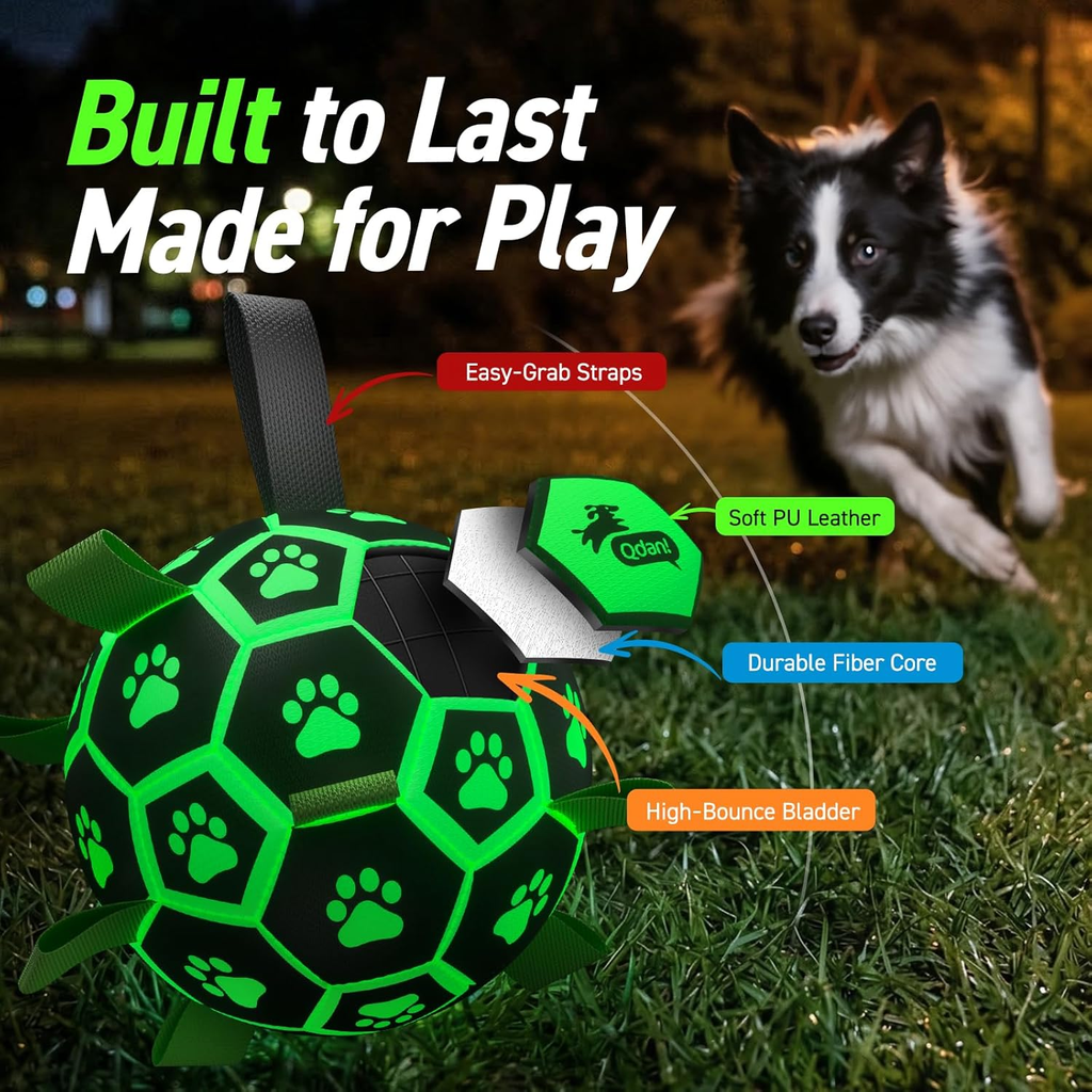 Dog ball toy with features highlighted, placed on grass with a dog in the background.