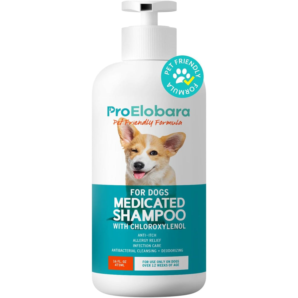 Medicated Dog Shampoo for Allergies and Itching: Antifungal Dog Shampoo, Yeast Infection and Bacterial Treatment for Dogs - Helps Hot Spots, Deodorizing and anti Itch - Healthy Skin & Coat 16 OZ