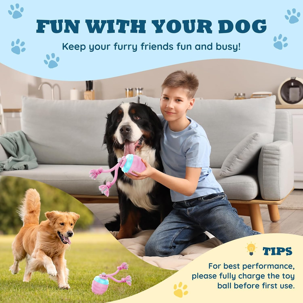 Boy playing with two dogs using a toy ball in a living room setting.