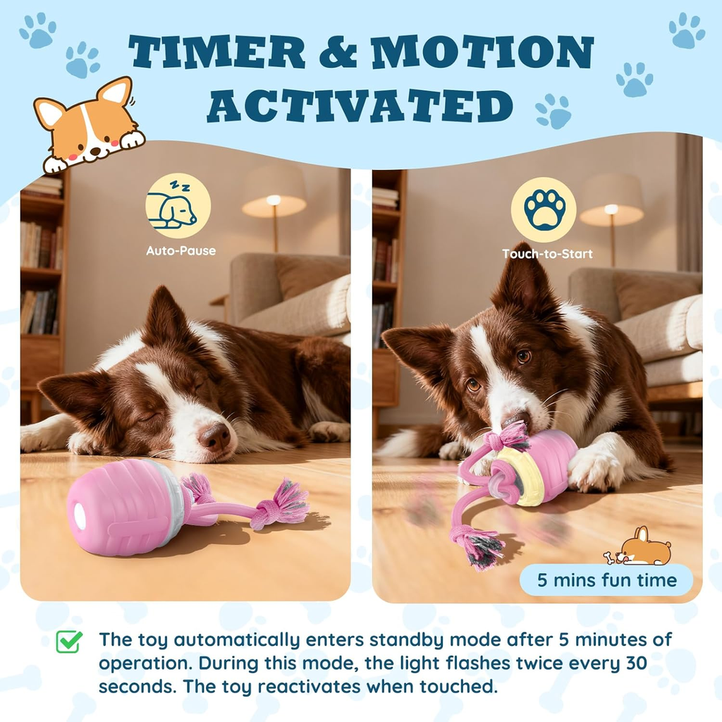 Dog playing with a pink toy in a living room, with text about timer and motion activation.
