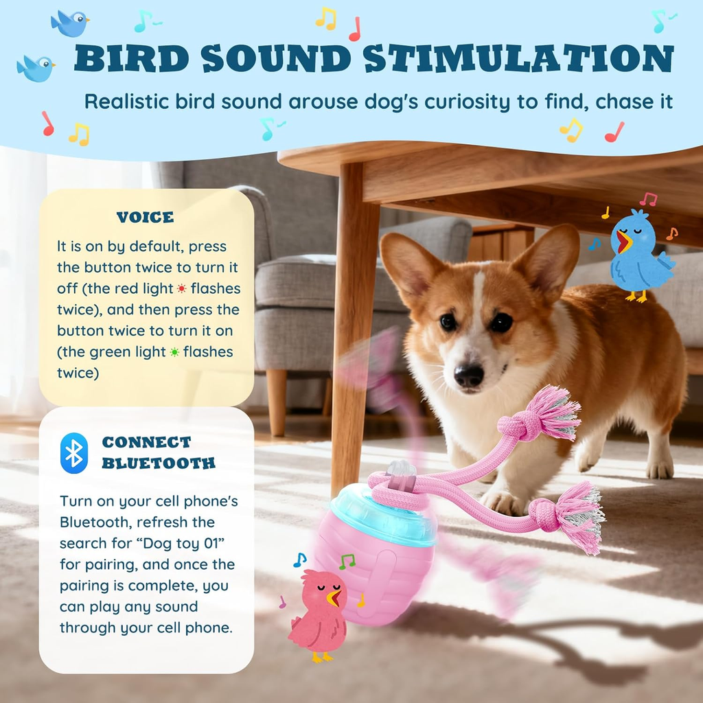A corgi dog stands under a wooden table in a home setting, interacting with a pink and blue bird toy that emits simulated bird sounds. The image includes informational text boxes explaining how to use the toy with Bluetooth and voice control, along with decorative bird and music note graphics.