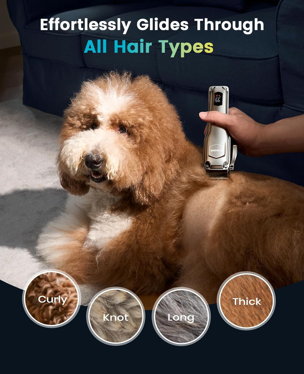 Dog being groomed with a grooming tool, surrounded by hair type icons.