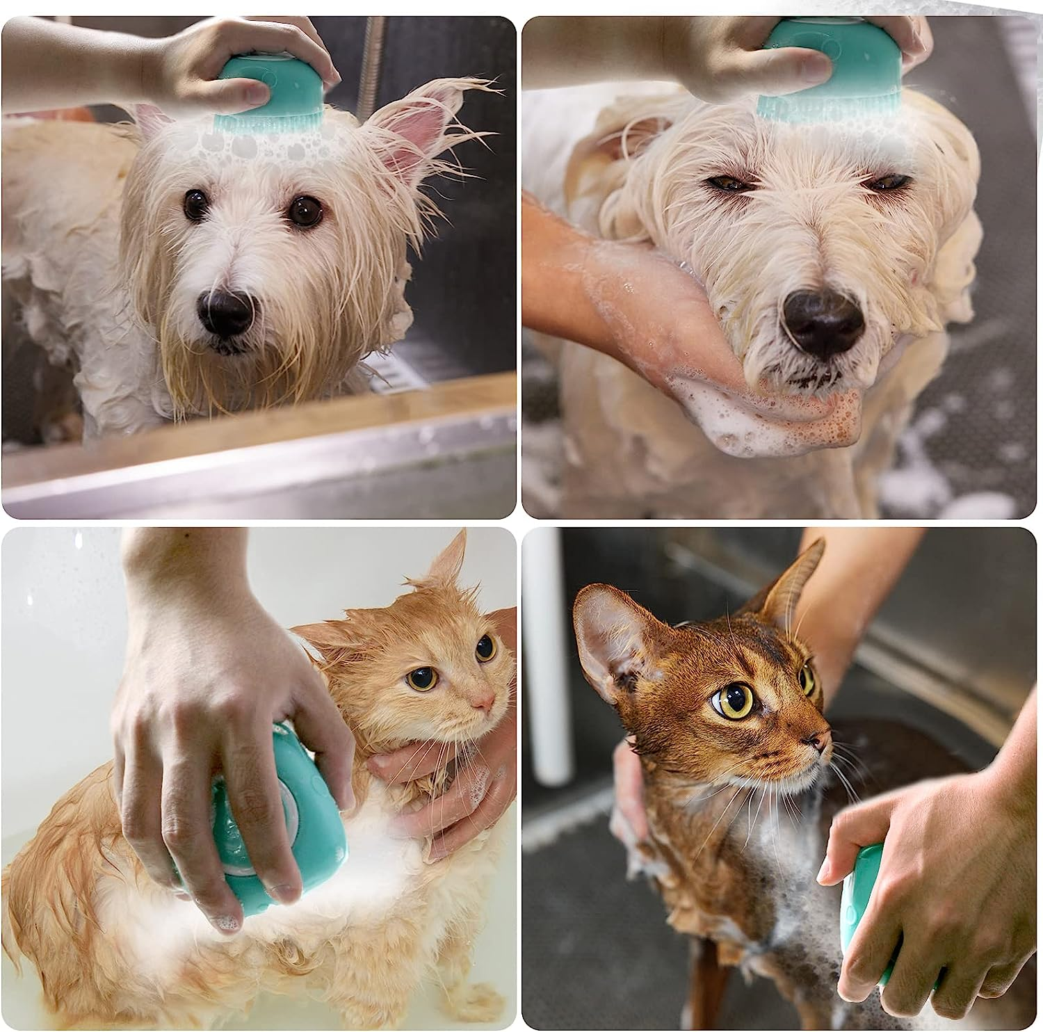 Collage of a person using a turquoise pet shampoo bottle on a dog and cat.
